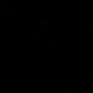 Meet your Posher, Isabella